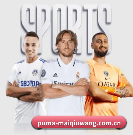 从比分速递到赛后复盘的完整链路 - maiqiuwang